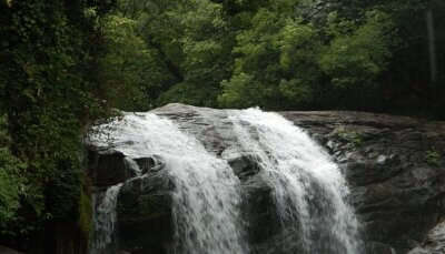 The Cascading Glory of Munnar