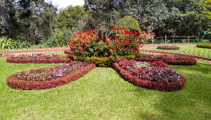 A beautiful view of garden in Ooty