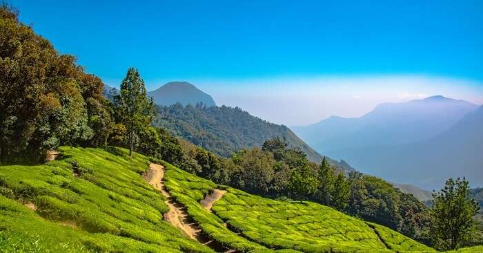 10 Offbeat Hill Stations Near Mumbai That Define Tranquility