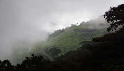 A Wonder of Munnar