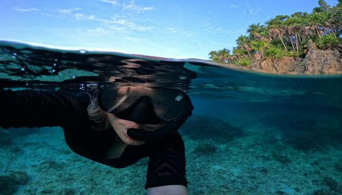 Scuba Diving in Phi Phi island