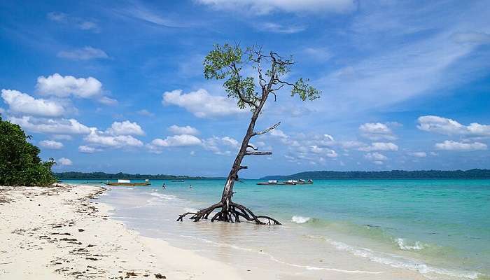 Secret of andaman islands