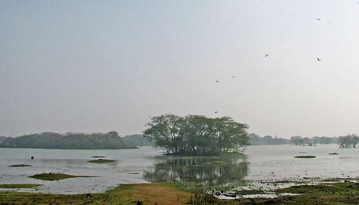 Sultanpur Bird Sanctuary