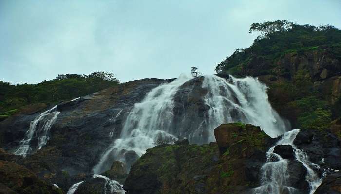 A gorgeous view of Tambadi Surla Waterfalls