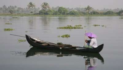 Backwaters in Kerala