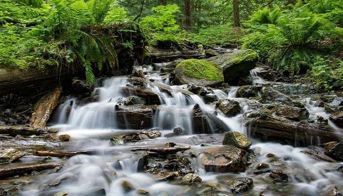 Thottikallu Falls