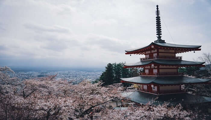 Valentine's Day In Japan