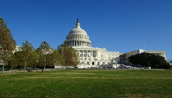 Valentines Day In Washington DC