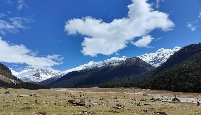 The stunning Yumthang Valley, one of the most captivating places to visit in Sikkim in June.
