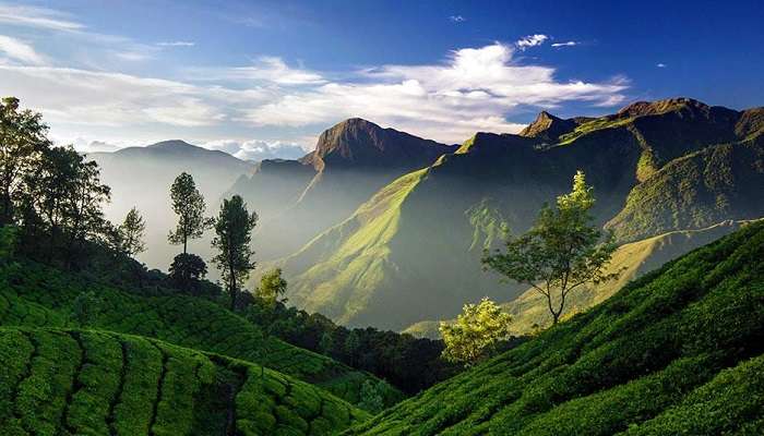 Trekking in Munnar