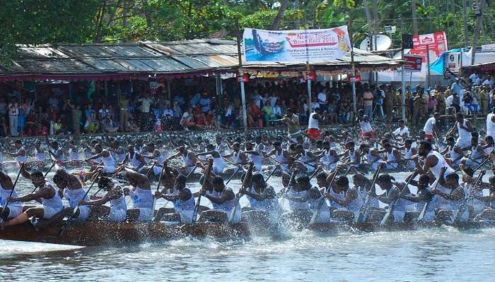 Nehru Trophy Snake Boat Race