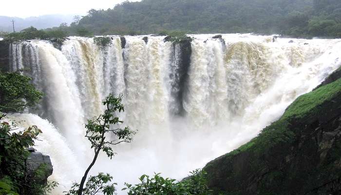 Visit the beautiful Jog Falls in Karnataka this year.