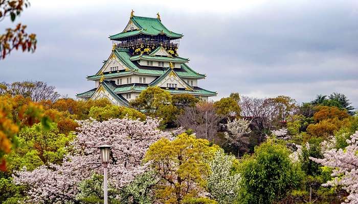 Tokyo In November