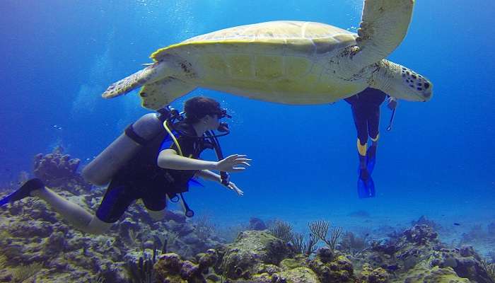 Go for scuba diving during your Pondicherry honeymoon