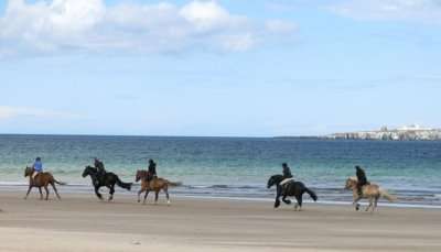 Enjoy Horse Riding on Pearly Beach
