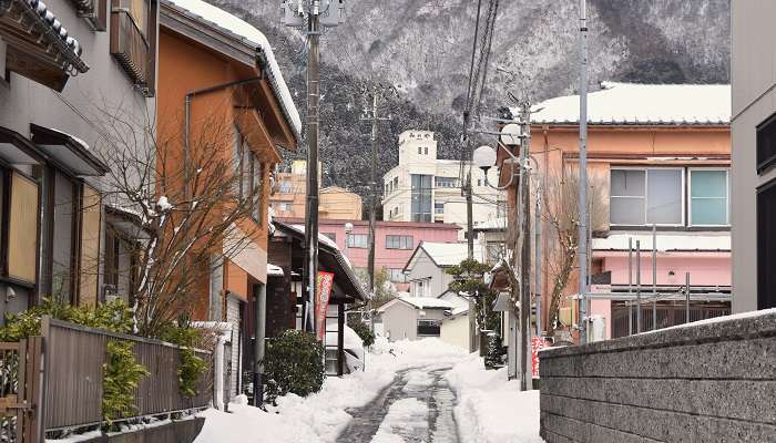 Japan in December