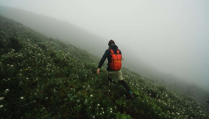 night trekking