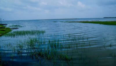 The largest wetland bird sanctuary of Gujarat