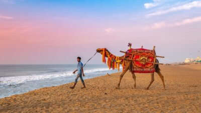 Things to do in Odisha