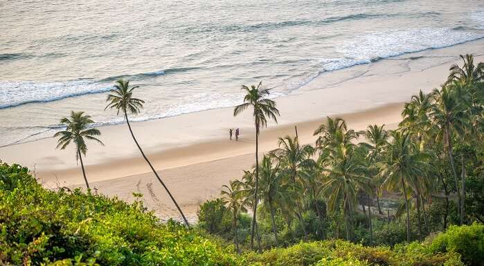 Best Scuba Diving & Water Sports At Fort Island, Malvan