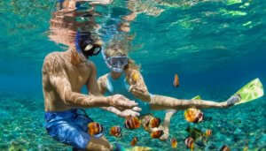 Snorkelling is an excellent activity