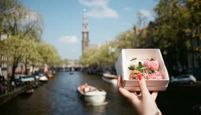 taste the delicious Amsterdam food along with the enchanting view of the architecture on the Solo journey.