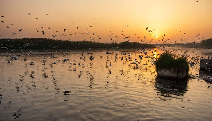 8 Places To Visit In Delhi Early Morning for Locals and Travellers