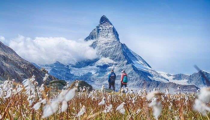 Hiking in the swiss alps with flower field