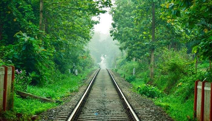 Railway track Nilambur Kerala in South India