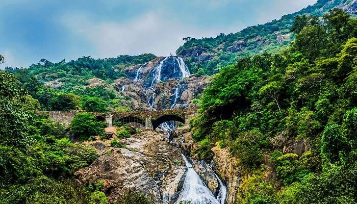 गोवा में झरने का सुंदर दृश्य