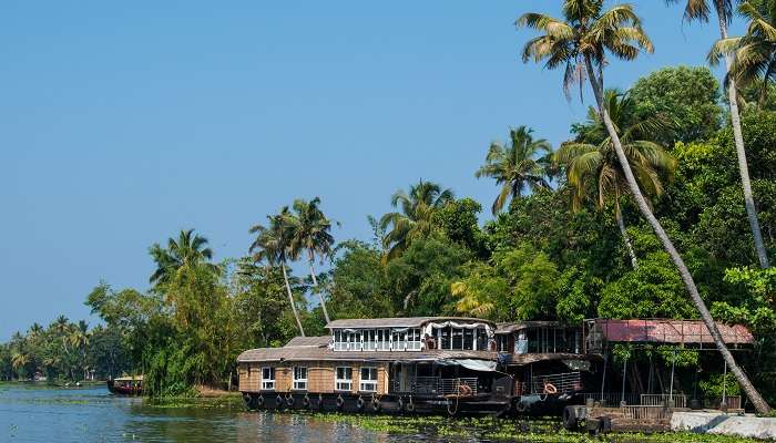 Alleppey: one of the best places to visit in Kerala