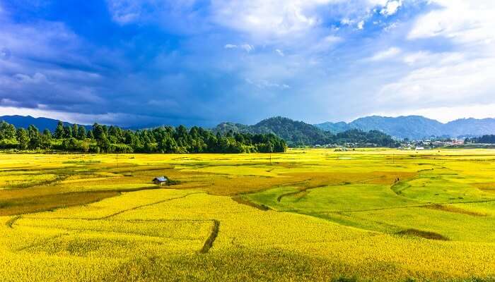 tourist place in ziro