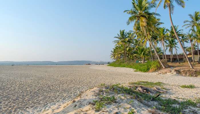 Scenic surroundings at one of the best tourist places to visit in Goa 