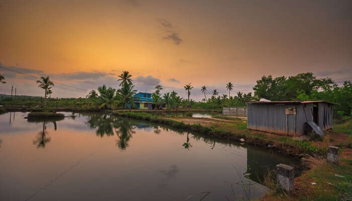 breathtaking view of Ashtamudi Lake