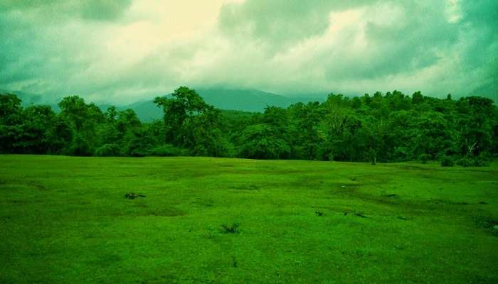 Lush green surroundings at one of the best tourist places to visit in Goa