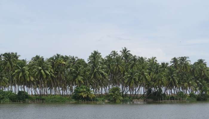 Kavvayi Backwaters, one of the best places to visit in Kerala