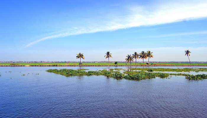 Kuttanad, one of the best places to visit in Kerala