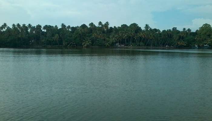 Scenic view at one of the best places to visit in Kerala