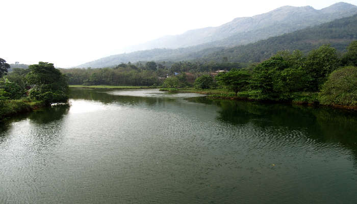 Thodupuzha River and Hills