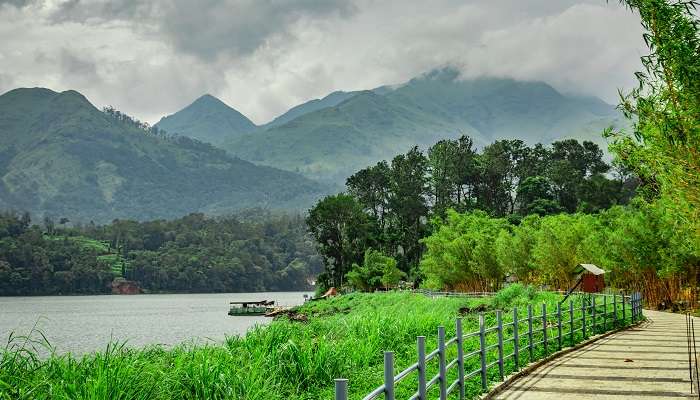 lush green surroundings at one of the best places to visit in Kerala