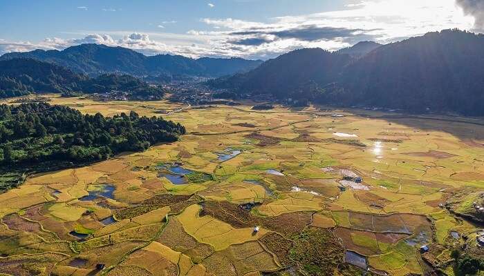 paddy fields of ziro valley in the arunachal pradesh india