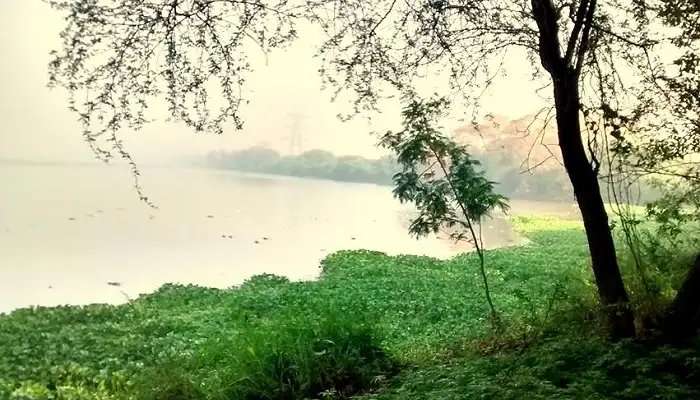 ओखला बर्ड सैंक्चुअरी एक पक्षी अभयारण्य है और दिल्ली के सबसे अच्छे पर्यटन स्थल में से एक है