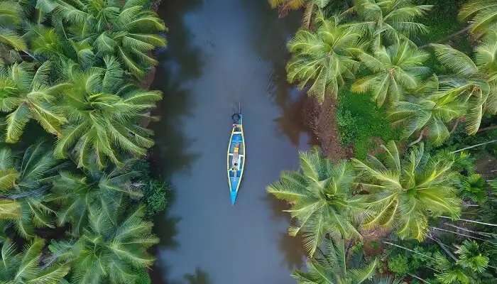 भारत के पर्यटन स्थल में से एक केरल में झीलों का दृश्य शानदार है