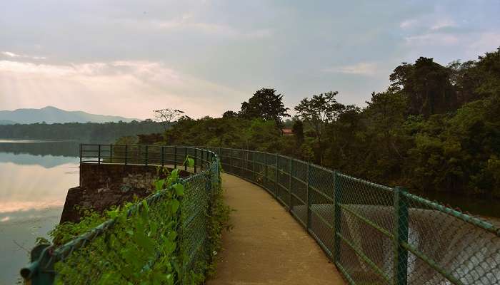 One of the Coorg attractive place is Chiklihole Reservoir.