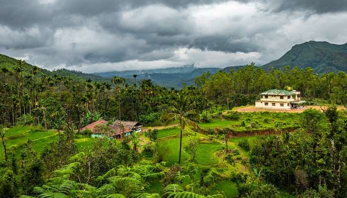 Tadiandamol is a beautiful place to visit in Coorg attractions.