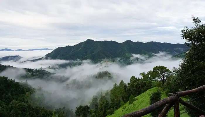 शोघी हिमाचल प्रदेश के पर्यटन स्थल में से एक है