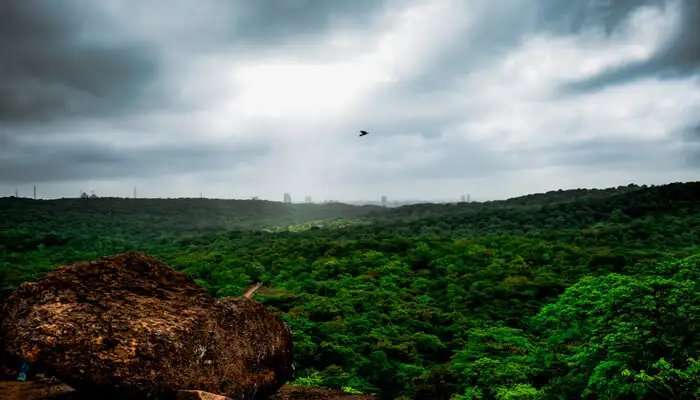 यह मुंबई का राष्ट्रीय उद्यान है