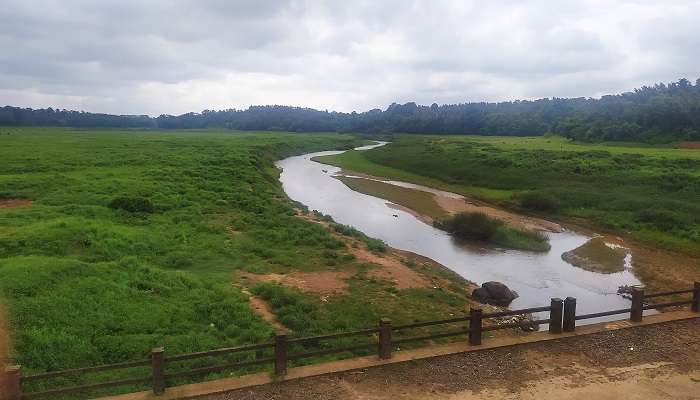 Harangi Dam is a beautiful place to visit in Coorg.
