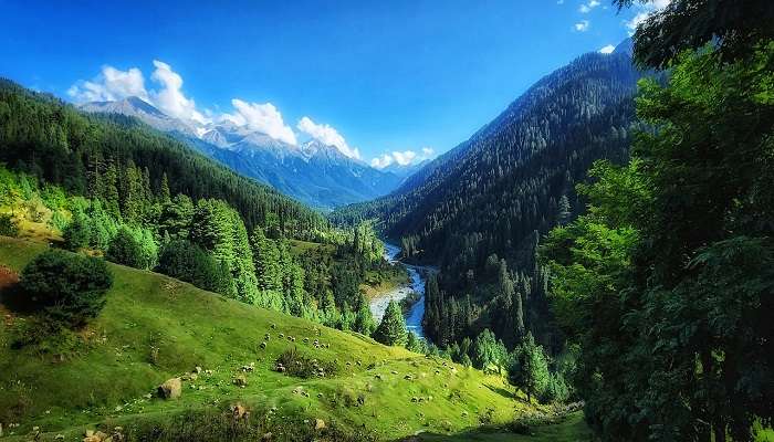 Pahalgam is one of the best place to enjoy summer holidays in India
