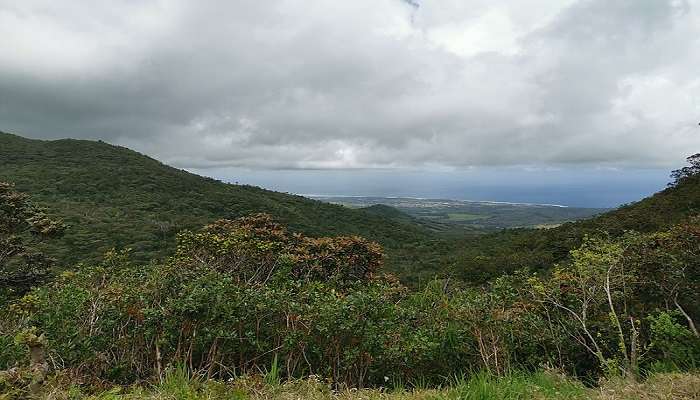 Things to do in Mauritius- go hike